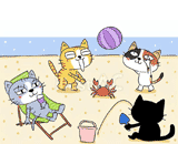4匹の猫『浜辺で遊ぶ』のイラスト