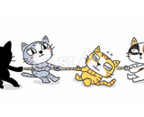 4匹の猫『綱引き』のイラスト