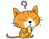 猫に小判