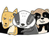同じ穴のムジナ