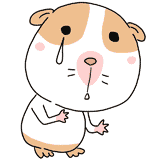 泣くモルモットのイラスト