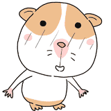 照れるモルモットのイラスト
