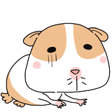 病気のモルモットのイラスト