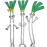 3本セットの長ネギのイラスト