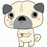 泣くパグのイラスト