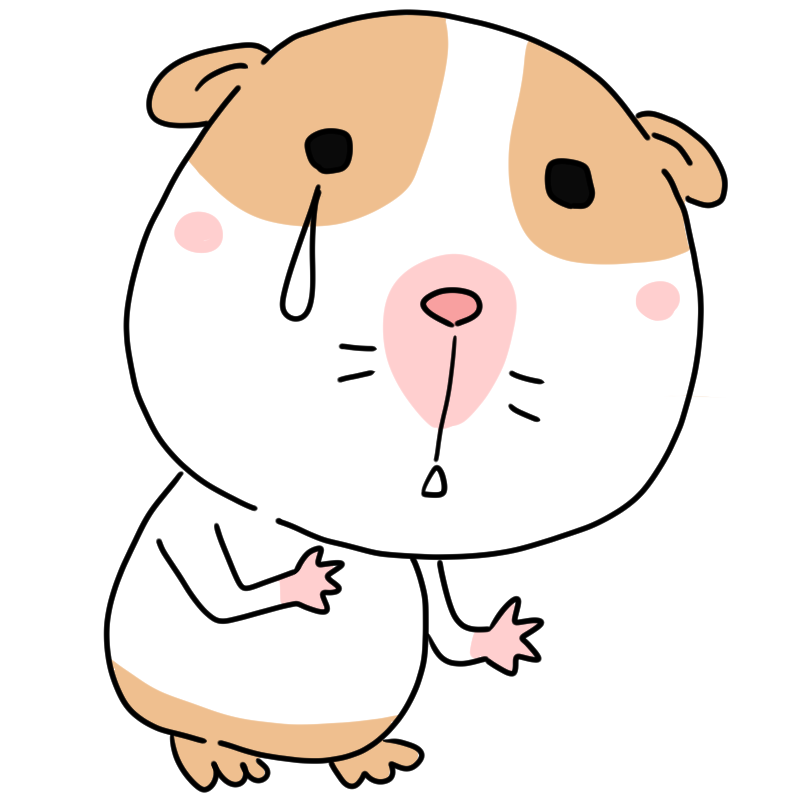 泣くモルモットのかわいいイラスト