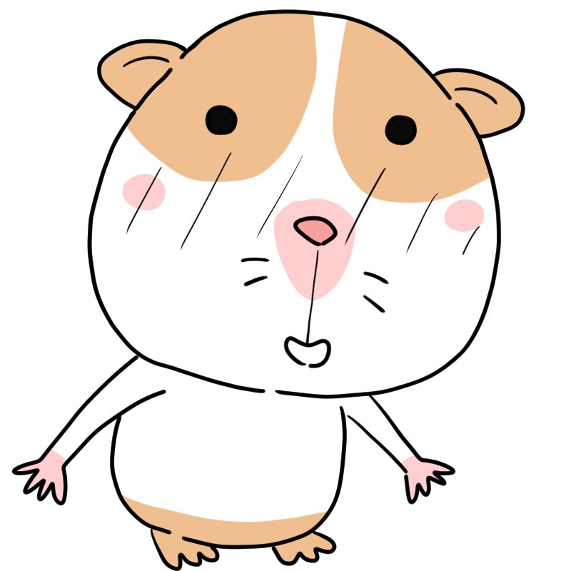 照れるモルモットのかわいいイラスト